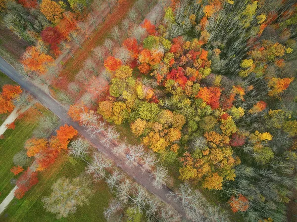 Bovenaanzicht Vanuit Lucht Van Pad Door Kleurrijk Herfstbos Versailles Bij — Stockfoto