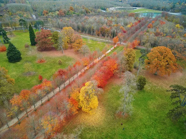 Vista Aérea Caminho Através Colorida Floresta Outono Versalhes Perto Paris — Fotografia de Stock