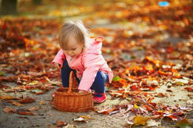 Paris, Fransa 'daki Tuileries bahçesinde sepetten kestane toplayan tatlı bir kız. Mutlu çocuk sıcak ve güneşli sonbahar gününün tadını çıkarıyor. Çocuklar için açık hava sonbahar aktiviteleri