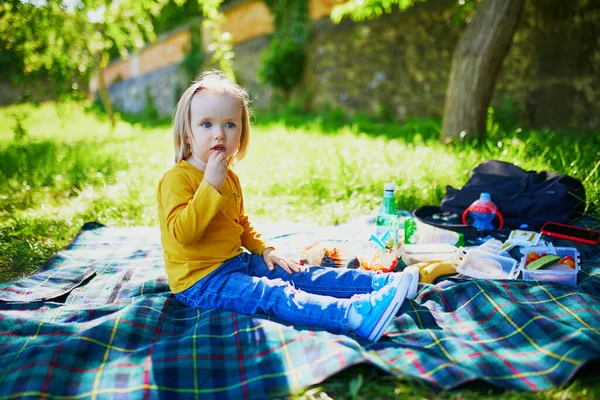 夏の日に田舎でピクニックをしている愛らしい幼児の女の子 公園で健康的な軽食を楽しんでいる子供 小さな子供のための屋外夏の活動 — ストック写真