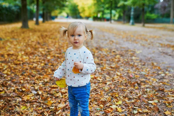 Menina Criança Alegre Adorável Com Tranças Reunindo Folhas Outono Amarelas — Fotografia de Stock