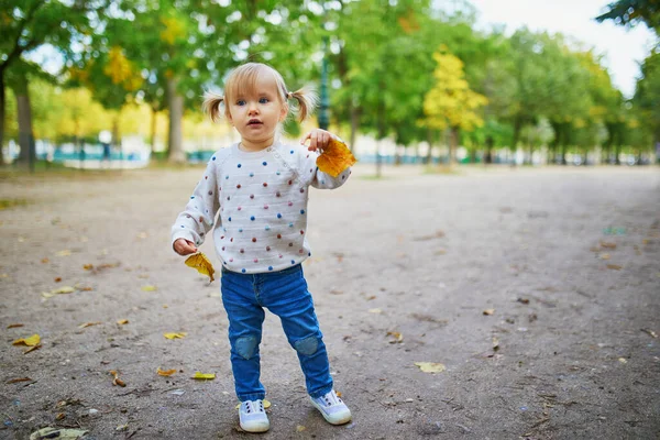 Rozkošná Veselá Batolata Copánky Sbírající Žluté Podzimní Listy Parku Paříži — Stock fotografie