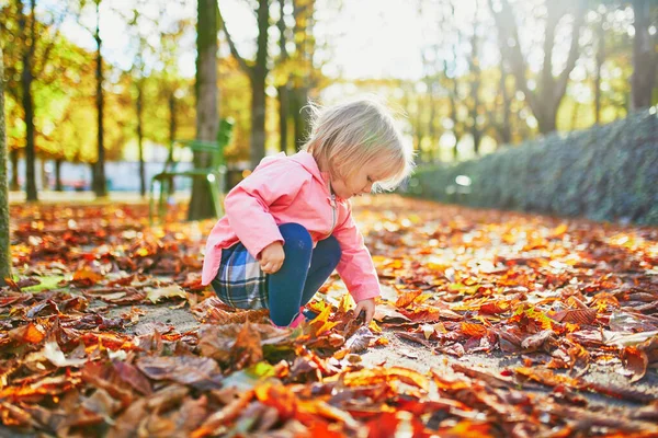 Adorable Toddler Girl Picking Chestnuts Tuileries Garden Paris France Happy — Stock Photo, Image