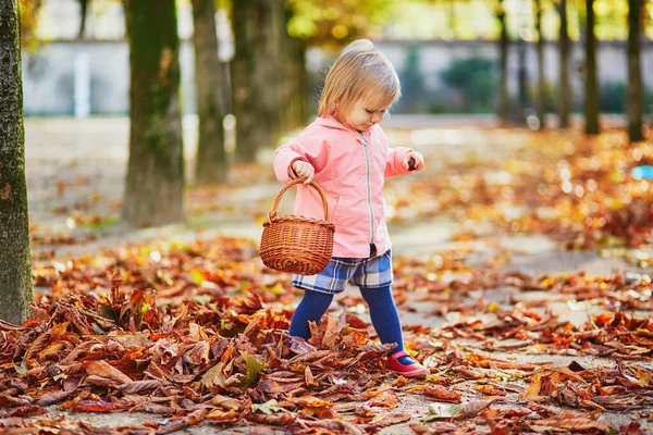Adorable Toddler Girl Picking Chestnuts Basket Tuileries Garden Paris France — Stock Photo, Image