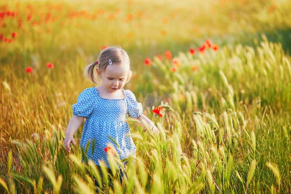 Menina Adorável Criança Vestido Azul Andando Campo Cereais Com Papoulas — Fotografia de Stock