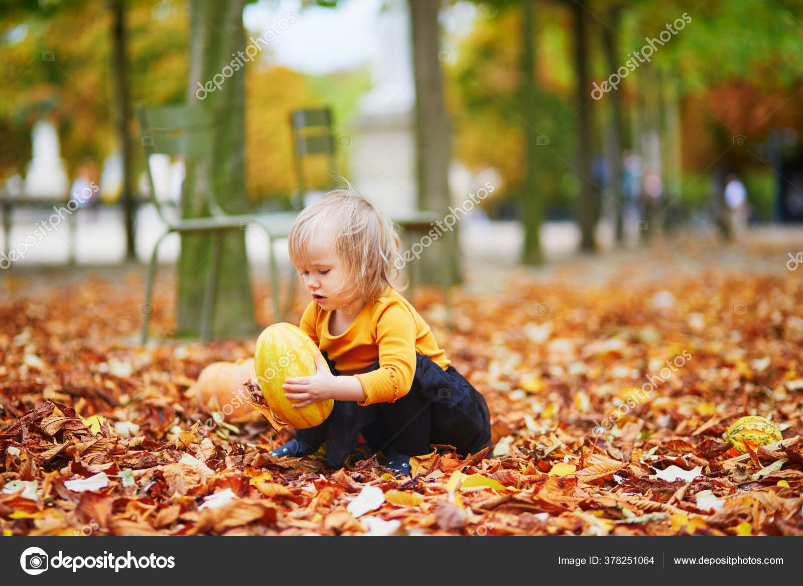 Adorable Niña Camiseta Naranja Tutú Negro Jugando Con Calabazas