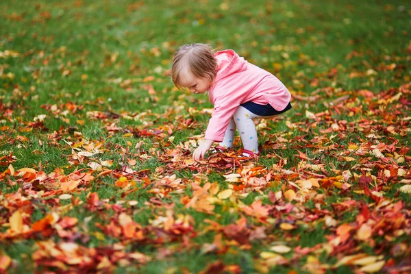 Adorable Petite Fille Joyeuse Rassemblant Des Feuilles Automne Dans Jardin — Photo