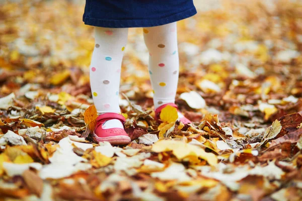 赤い靴の幼児の女の子と秋の日に落ち葉の上に立っているポルカドットパンティーホース 公園で秋の日を楽しむ子供 子供のためのスタイリッシュかつ美しい服や靴 — ストック写真