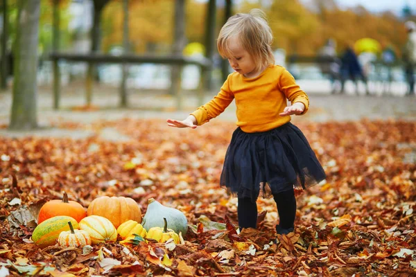 Adorable toddler girl in orange t-shirt and black tutu playing with colorful pumpkins lying on the ground in orange autumn fallen leaves. Happy kid celebrating Halloween