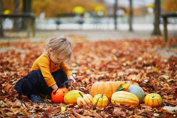 Adorabile Bambina Shirt Arancione Tutù Nero Che Gioca Con Zucche — Foto Stock