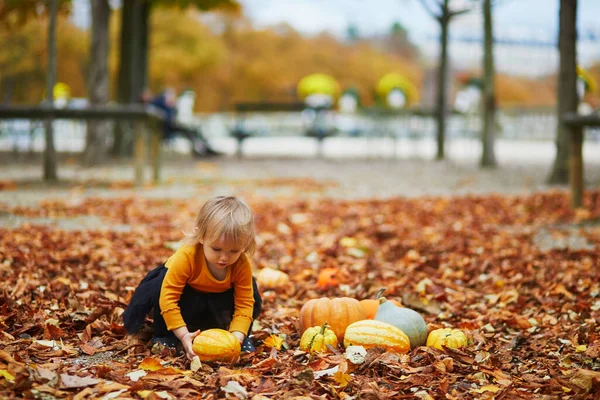 Menina Adorável Criança Shirt Laranja Tutu Preto Brincando Com Abóboras — Fotografia de Stock