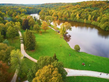 Kuzey Fransa, Yvelines, Fransa 'daki sonbahar ormanlarının manzarası