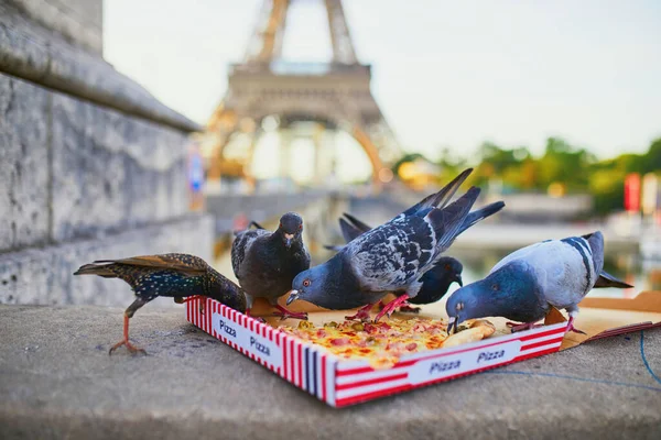 Pássaros Comendo Restos Pizza Perto Torre Eiffel Ruas Vazias Paris — Fotografia de Stock