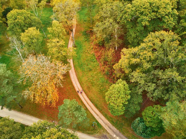 法国伊夫林市法国北部秋季森林景观 — 图库照片
