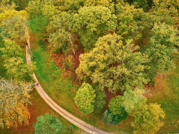 Scenic Aerial View Autumn Forest Northern France Yvelines France — Stock Photo, Image