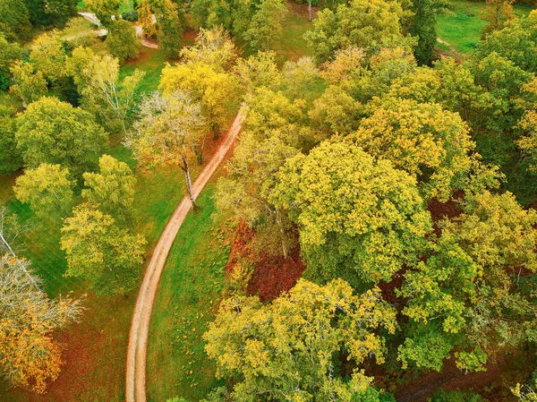 Scenic Aerial View Autumn Forest Northern France Yvelines France — Stock Photo, Image