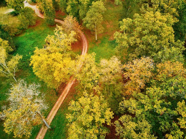 Vista Aérea Escénica Del Bosque Otoñal Norte Francia Yvelines Francia —  Fotos de Stock