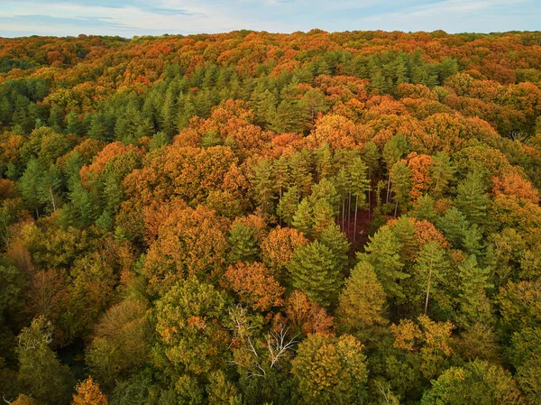 Scenic Aerial View Autumn Forest Northern France Yvelines France — Stock Photo, Image