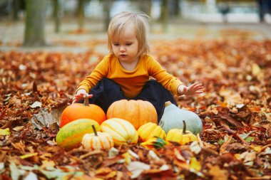 Turuncu tişörtlü, siyah etekli, turuncu sonbahar yaprakları içinde yerde uzanan renkli balkabaklarıyla oynayan sevimli kız. Mutlu çocuk Cadılar Bayramı kutluyor