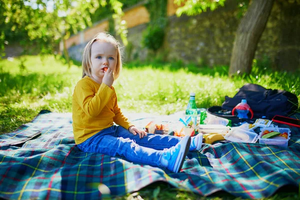 Adorable Toddler Girl Having Picnic Countryside Summer Day Child Enjoying — Stock Photo, Image
