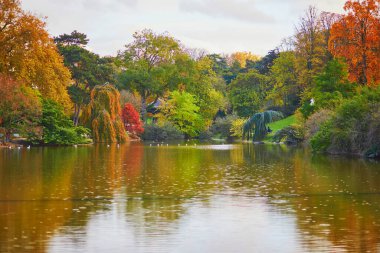 Suda yansımaları olan parlak sonbahar ağaçları. Sonbahar günü Paris 'e park et.