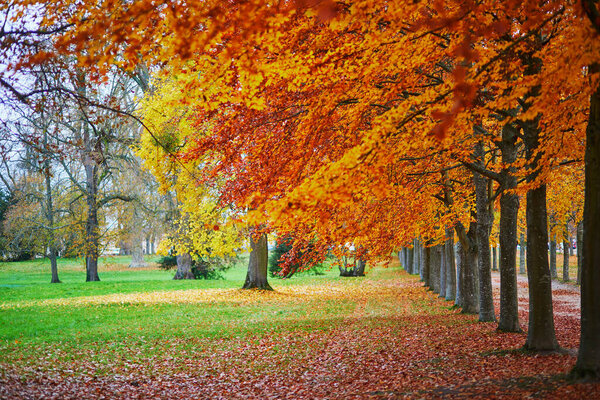 Beautiful autumn park in Paris, France on a bright sunny fall day in November