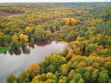 Kuzey Fransa, Yvelines, Fransa 'daki sonbahar ormanlarının manzarası