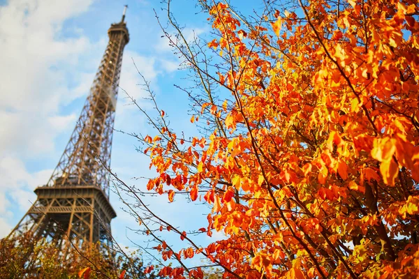 Vue Panoramique Sur Tour Eiffel Parc Champ Mars Par Une — Photo