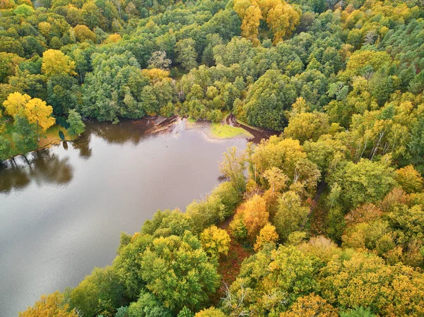 Szenische Luftaufnahme Des Herbstwaldes Nordfrankreich Yvelines Frankreich — Stockfoto