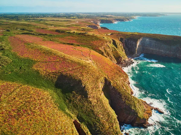 Vue Panoramique Cap Frehel Une Des Destinations Touristiques Les Populaires — Photo