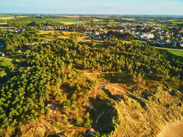 Veduta Aerea Drone Della Pineta Una Duna Sabbia Bretagna Francia — Foto Stock