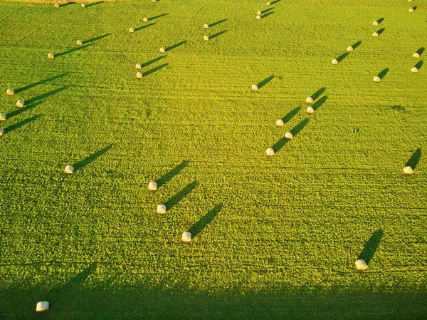 从空中俯瞰法国布列塔尼的牧场和农田 美丽的法国乡村 绿油油的田野和草地 日落时分的乡村风景 — 图库照片