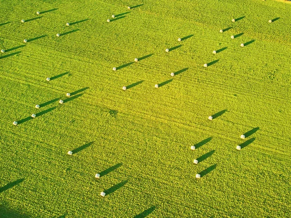 Vista Aérea Pastos Tierras Cultivo Bretaña Francia Hermosa Campiña Francesa — Foto de Stock
