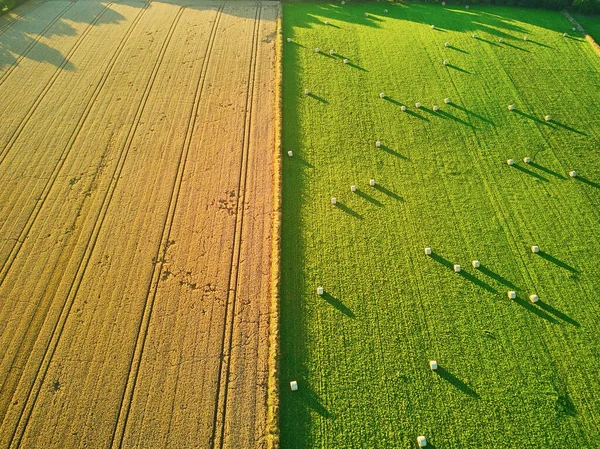 Vista Aérea Pastagens Terras Agrícolas Bretanha França Bela Paisagem Francesa — Fotografia de Stock