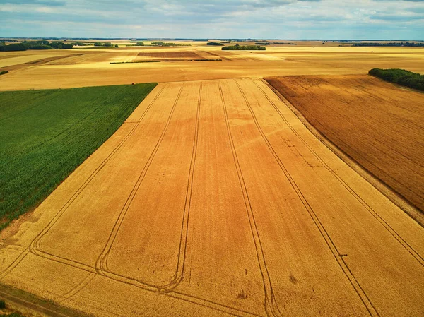 从空中俯瞰法国布列塔尼的牧场和农田 美丽的法国乡村 绿油油的田野和草地 农村景观 — 图库照片