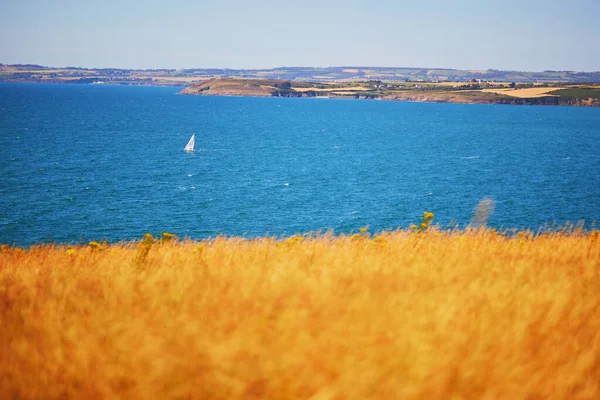 Vista Panorámica Del Campo Trigo Dorado Océano Atlántico Azul Con —  Fotos de Stock