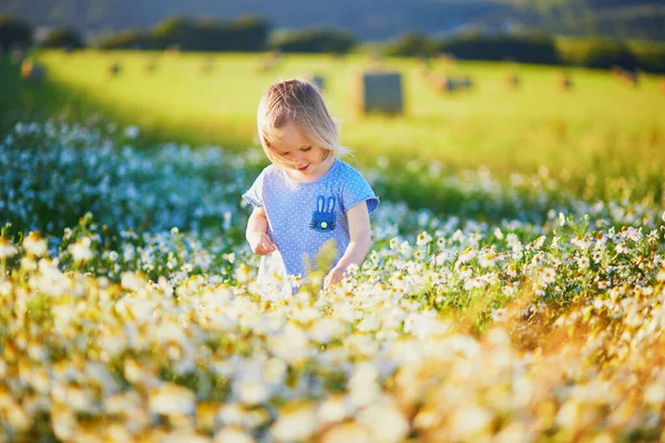 Adorable Toddler Girl Amidst Green Grass Beauitiful Daisies Summer Day — Stock Photo, Image