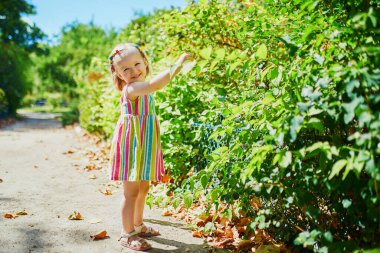 Sevimli küçük kız güneşli bir yaz gününde dışarıda eğleniyor. Mutlu çocuk parkta yürüyor. Çocuklar için açık hava aktiviteleri