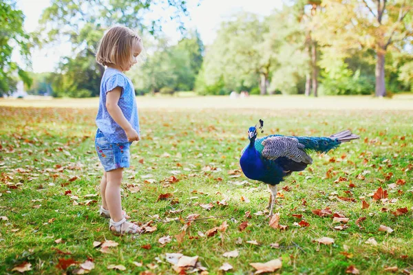 stock image Adorable toddler girl with peacock in park. Child visiting a zoo. Outdoor summer activities for kids