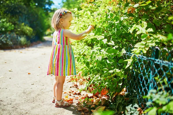 Adorable Toddler Girl Having Fun Outdoors Sunny Summer Day Happy — Stock Photo, Image