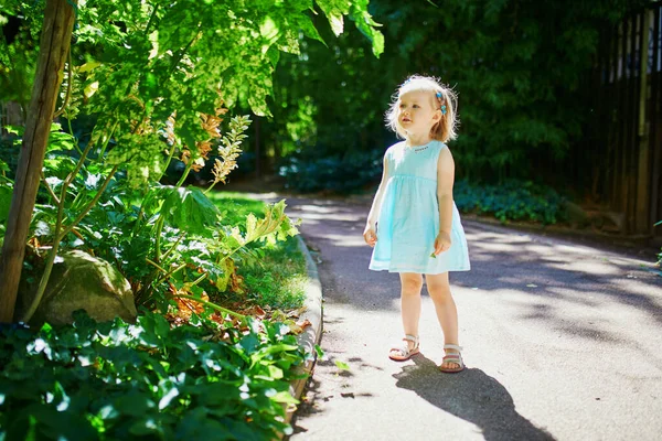 Adorable Toddler Girl Having Fun Outdoors Sunny Summer Day Happy — Stock Photo, Image