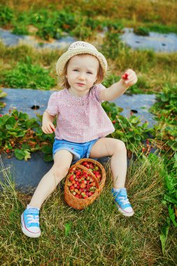 Hasır şapkalı sevimli kız çiftlikte taze organik çilek toplayıp yiyor. Küçük çocuklar için lezzetli sağlıklı atıştırmalıklar. Küçük çocuklar için açık hava yaz aktiviteleri