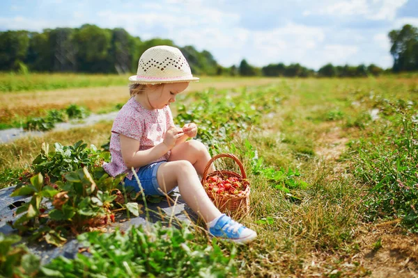 Adorable Niña Sombrero Paja Recogiendo Fresas Orgánicas Frescas Granja Delicioso —  Fotos de Stock