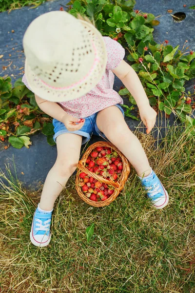 Adorabile Bambina Cappello Paglia Raccogliendo Mangiando Fragole Biologiche Fresche Azienda — Foto Stock