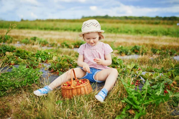 Entzückende Kleinkind Mädchen Mit Strohhut Pflückt Frische Bio Erdbeeren Auf — Stockfoto