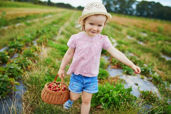 Adorable Niña Sombrero Paja Recogiendo Fresas Orgánicas Frescas Granja Delicioso —  Fotos de Stock