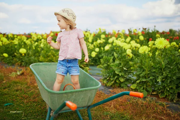 Adorable Niña Sombrero Paja Sentada Carretilla Una Granja Agricultura Jardinería —  Fotos de Stock