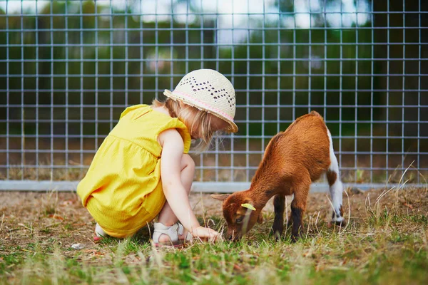 Adorable Toddler Girl Yellow Dress Straw Hat Playing Goats Farm — Stock Photo, Image