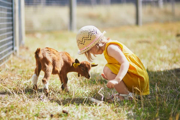 Adorable Toddler Girl Yellow Dress Straw Hat Playing Goats Farm — Stock Photo, Image