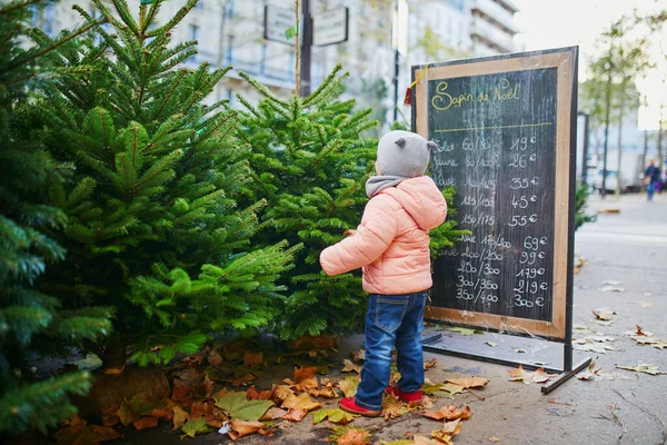 屋外ショップやパリ フランスの市場でクリスマスツリーを選択する愛らしい幼児の女の子 子供たちと一緒に季節の休日を祝う — ストック写真